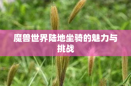 魔兽世界陆地坐骑的魅力与挑战 魔兽世界陆地坐骑的魅力与挑战
