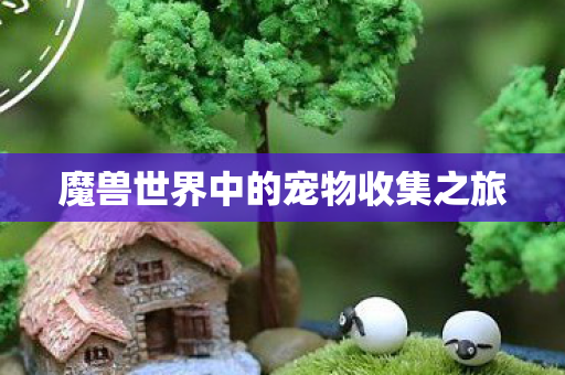 魔兽世界中的宠物收集之旅 魔兽世界中的宠物收集之旅
