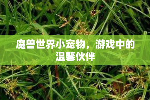 魔兽世界小宠物,游戏中的温馨伙伴 魔兽世界小宠物,游戏中的温馨伙伴
