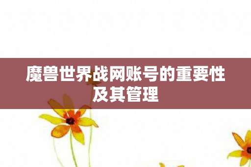 魔兽世界战网账号的重要性及其管理 魔兽世界战网账号的重要性及其管理