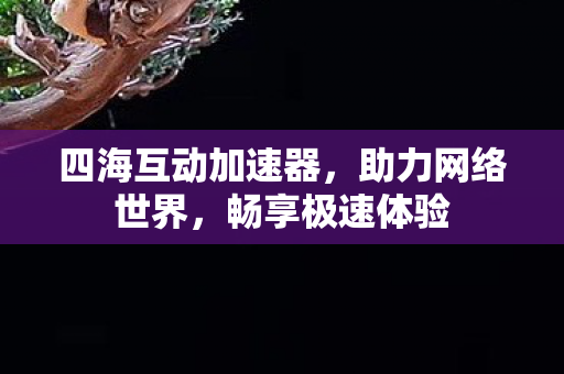 四海互动加速器,助力网络世界,畅享极速体验 四海互动加速器,助力网络世界,畅享极速体验