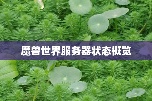 魔兽世界服务器状态概览 魔兽世界服务器状态概览