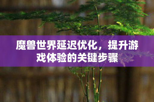 魔兽世界延迟优化,提升游戏体验的关键步骤 魔兽世界延迟优化,提升游戏体验的关键步骤