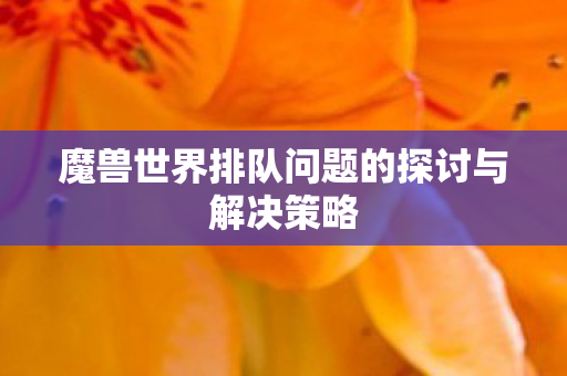 魔兽世界排队问题的探讨与解决策略 魔兽世界排队问题的探讨与解决策略