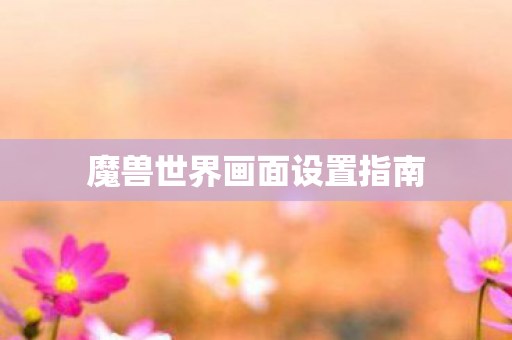 魔兽世界画面设置指南