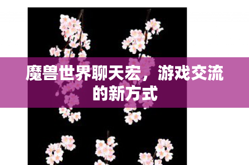 魔兽世界聊天宏,游戏交流的新方式 魔兽世界聊天宏,游戏交流的新方式