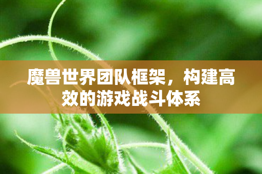 魔兽世界团队框架,构建高效的游戏战斗体系 魔兽世界团队框架,构建高效的游戏战斗体系