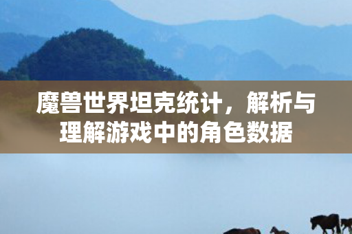 魔兽世界坦克统计，解析与理解游戏中的角色数据