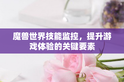 魔兽世界技能监控，提升游戏体验的关键要素