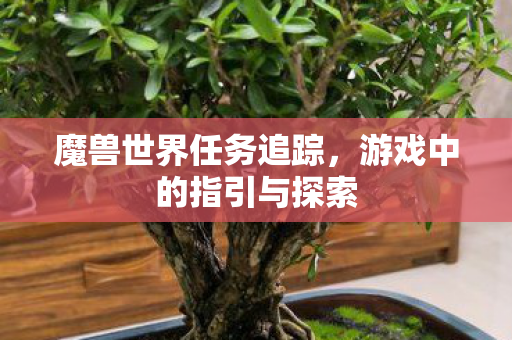 魔兽世界任务追踪,游戏中的指引与探索 魔兽世界任务追踪,游戏中的指引与探索