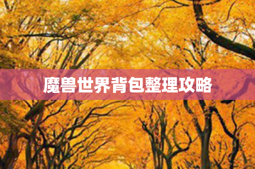 魔兽世界背包整理攻略