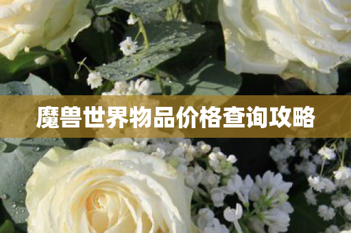 魔兽世界物品价格查询攻略