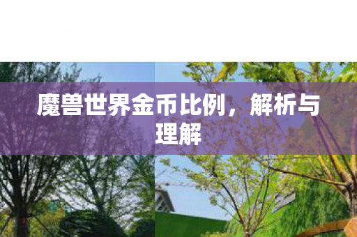 魔兽世界金币比例,解析与理解 魔兽世界金币比例,解析与理解