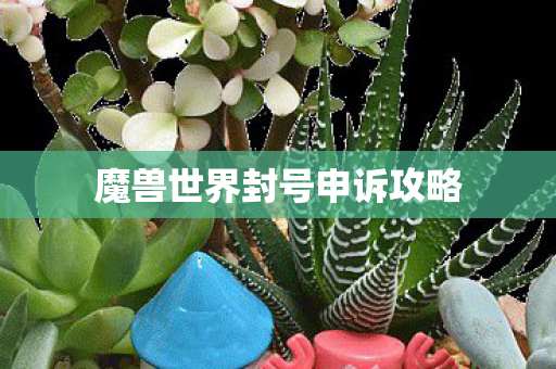魔兽世界封号申诉攻略 魔兽世界封号申诉攻略