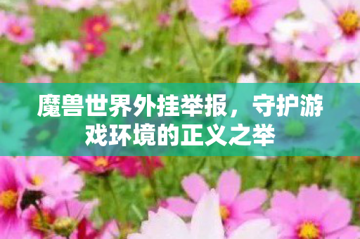 魔兽世界外挂举报,守护游戏环境的正义之举 魔兽世界外挂举报,守护游戏环境的正义之举