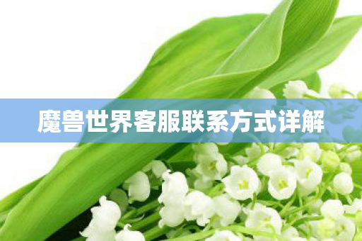 魔兽世界客服联系方式详解