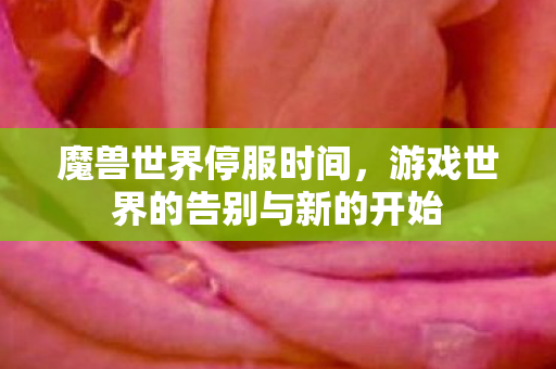 魔兽世界停服时间,游戏世界的告别与新的开始 魔兽世界停服时间,游戏世界的告别与新的开始