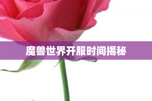 魔兽世界开服时间揭秘 魔兽世界开服时间揭秘