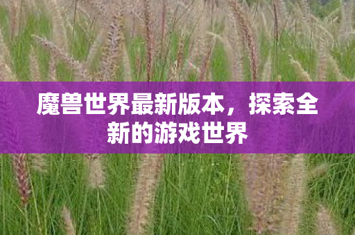 魔兽世界最新版本,探索全新的游戏世界 魔兽世界最新版本,探索全新的游戏世界