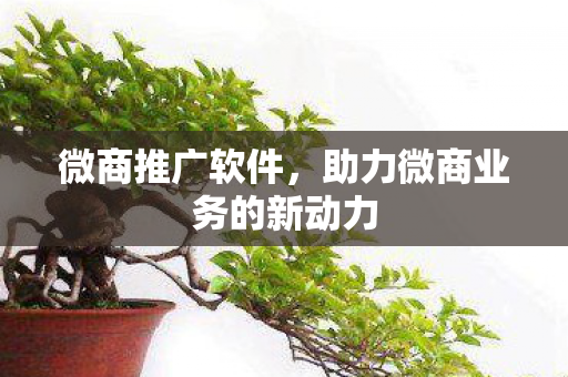 微商推广软件,助力微商业务的新动力 微商推广软件,助力微商业务的新动力