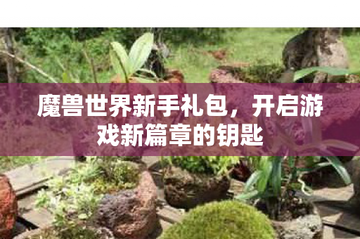 魔兽世界新手礼包,开启游戏新篇章的钥匙 魔兽世界新手礼包,开启游戏新篇章的钥匙