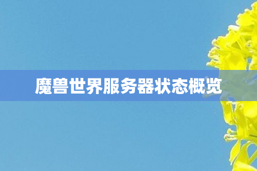 魔兽世界服务器状态概览