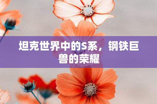 坦克世界中的S系,钢铁巨兽的荣耀 坦克世界中的S系,钢铁巨兽的荣耀
