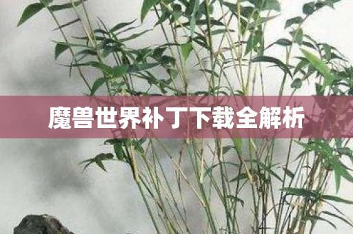 魔兽世界补丁下载全解析 魔兽世界补丁下载全解析
