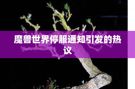 魔兽世界停服通知引发的热议 魔兽世界停服通知引发的热议