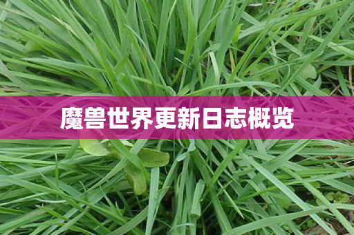 魔兽世界更新日志概览