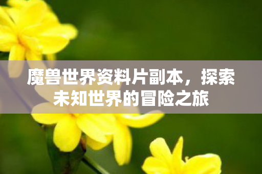 魔兽世界资料片副本,探索未知世界的冒险之旅 魔兽世界资料片副本,探索未知世界的冒险之旅