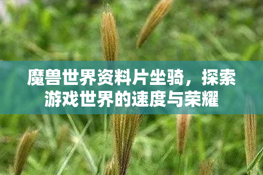 魔兽世界资料片坐骑,探索游戏世界的速度与荣耀 魔兽世界资料片坐骑,探索游戏世界的速度与荣耀