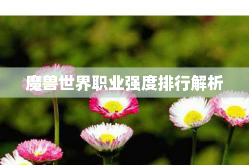 魔兽世界职业强度排行解析