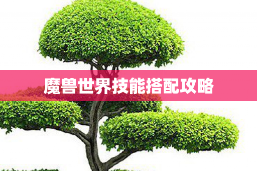 魔兽世界技能搭配攻略 魔兽世界技能搭配攻略