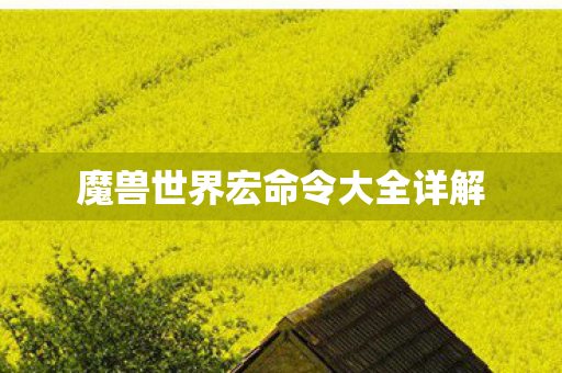 魔兽世界宏命令大全详解 魔兽世界宏命令大全详解