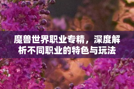 魔兽世界职业专精,深度解析不同职业的特色与玩法 魔兽世界职业专精,深度解析不同职业的特色与玩法