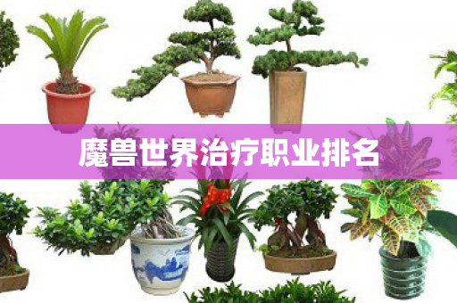 魔兽世界治疗职业排名