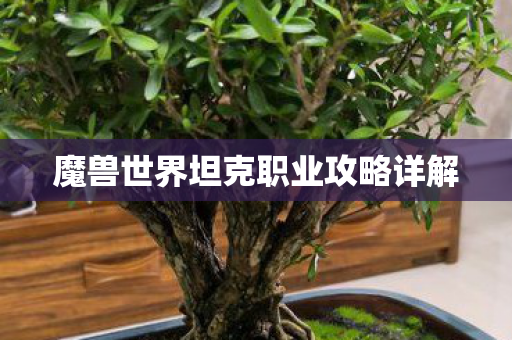 魔兽世界坦克职业攻略详解