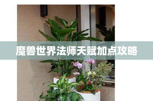 魔兽世界法师天赋加点攻略 魔兽世界法师天赋加点攻略