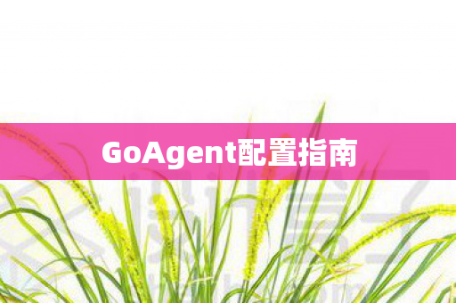 GoAgent配置指南 GoAgent配置指南