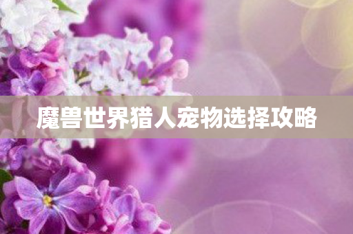 魔兽世界猎人宠物选择攻略 魔兽世界猎人宠物选择攻略