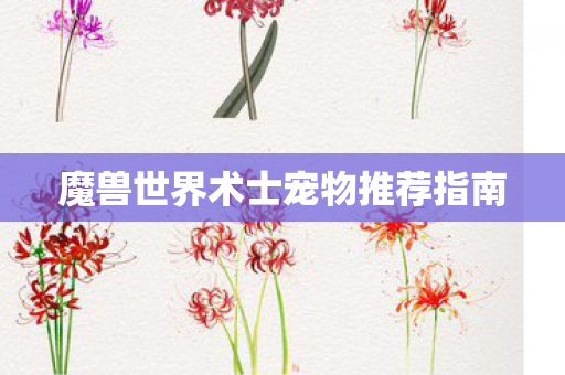 魔兽世界术士宠物推荐指南 魔兽世界术士宠物推荐指南