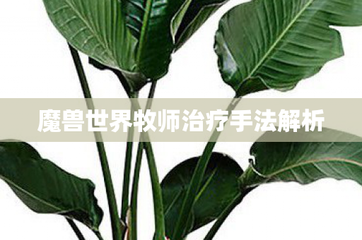 魔兽世界牧师治疗手法解析 魔兽世界牧师治疗手法解析