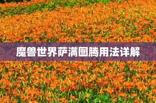 魔兽世界萨满图腾用法详解