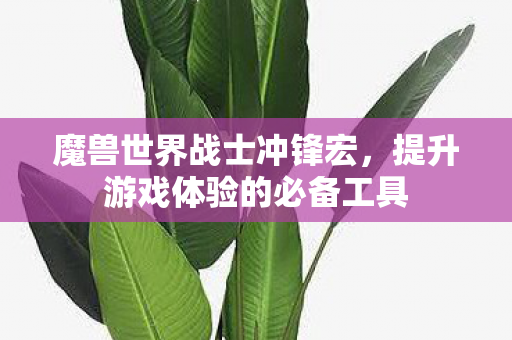 魔兽世界战士冲锋宏，提升游戏体验的必备工具