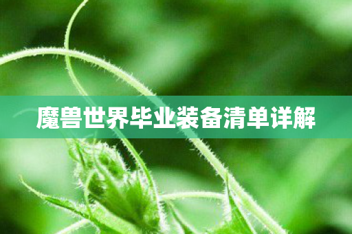 魔兽世界毕业装备清单详解 魔兽世界毕业装备清单详解