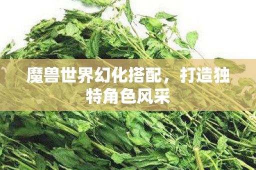 魔兽世界幻化搭配，打造独特角色风采