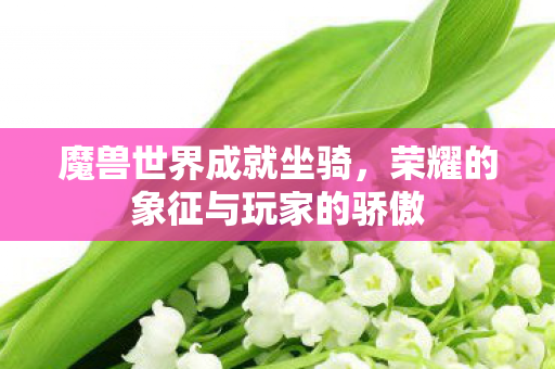 魔兽世界成就坐骑,荣耀的象征与玩家的骄傲 魔兽世界成就坐骑,荣耀的象征与玩家的骄傲