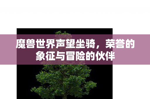 魔兽世界声望坐骑，荣誉的象征与冒险的伙伴