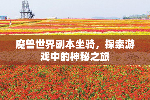 魔兽世界副本坐骑,探索游戏中的神秘之旅 魔兽世界副本坐骑,探索游戏中的神秘之旅